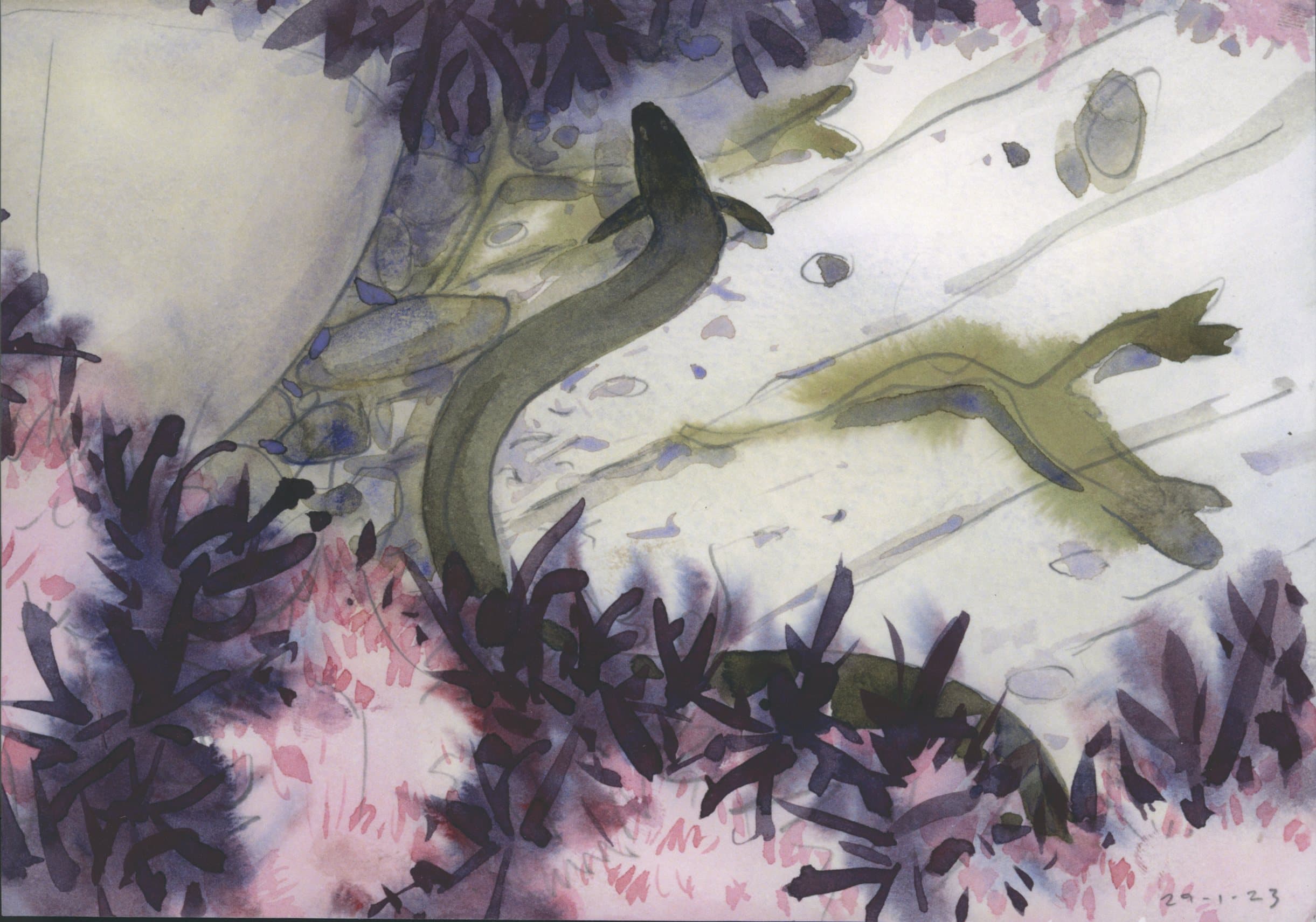 European eel watercolour painted from life, North Devon, 2023